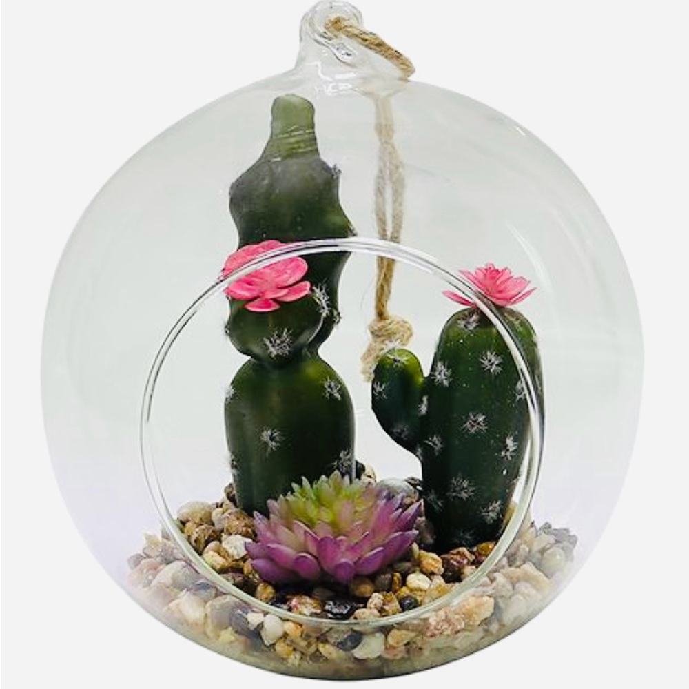 Glass Globe Cactus Terrarium Hanging & Standing Air Planter Vase 6”